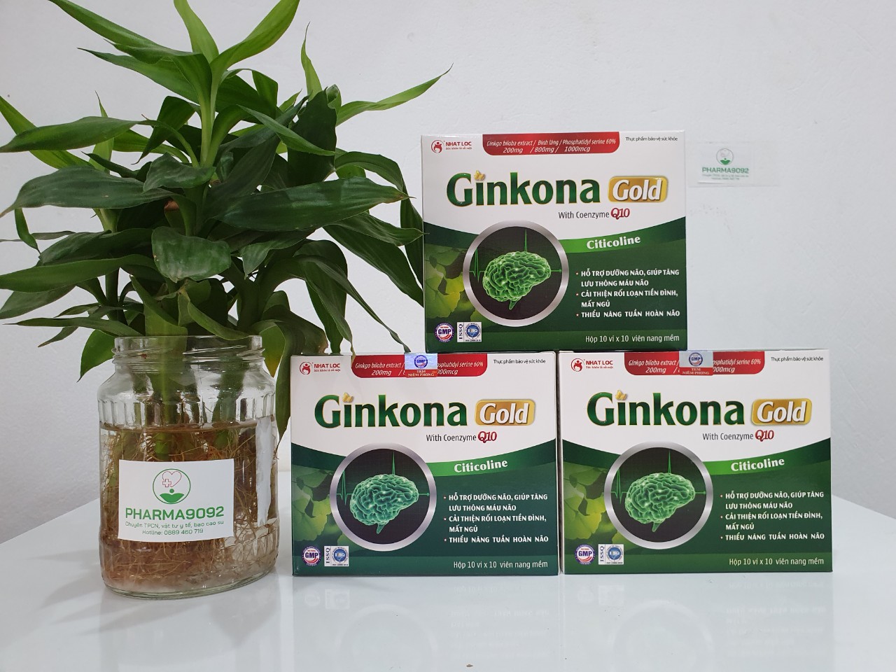 BỔ NÃO GINKONA GOLD.  Bổ sung dưỡng chất cho não, tăng cường tuần hoàn, phòng ngừa tai biến mạch máu não.