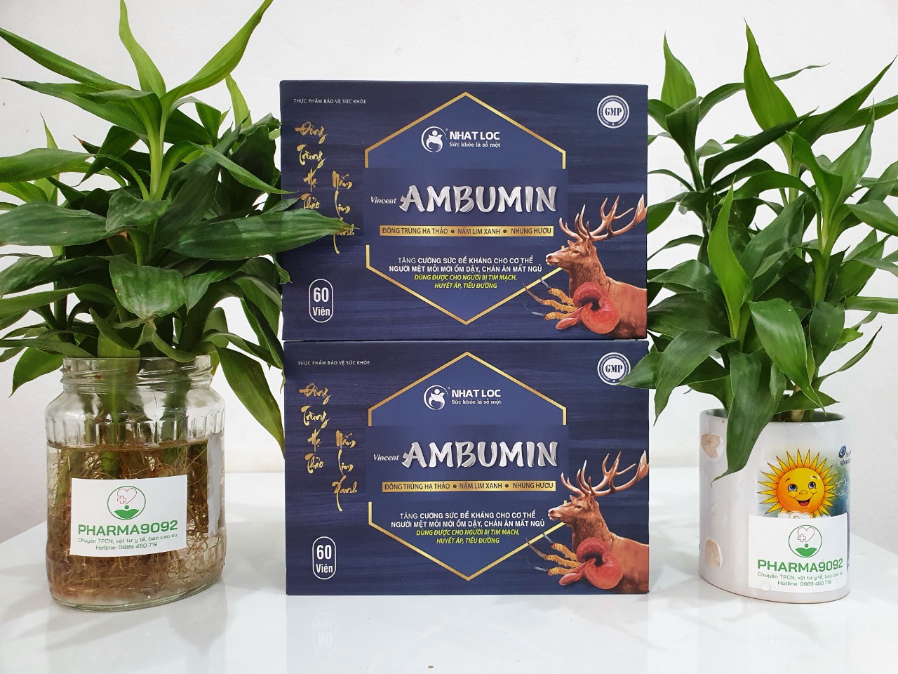 Vincent AMBUMIN ( hỗ trợ tăng cường đề kháng, bồi bổ sức khỏe, giúp ăn ngủ ngon)