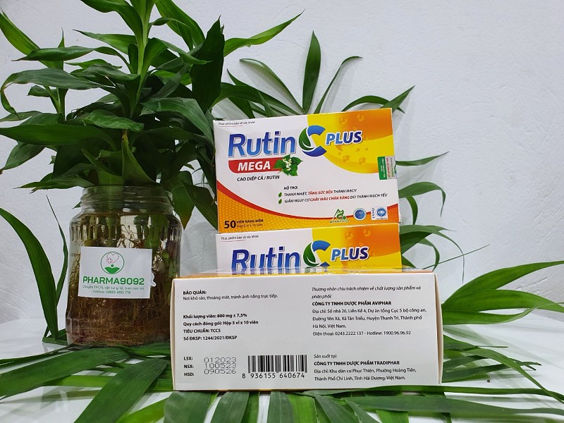 Rutin C PLUS MEGA ( Hỗ trợ thanh nhiệt, tăng sức bền thành mạch)